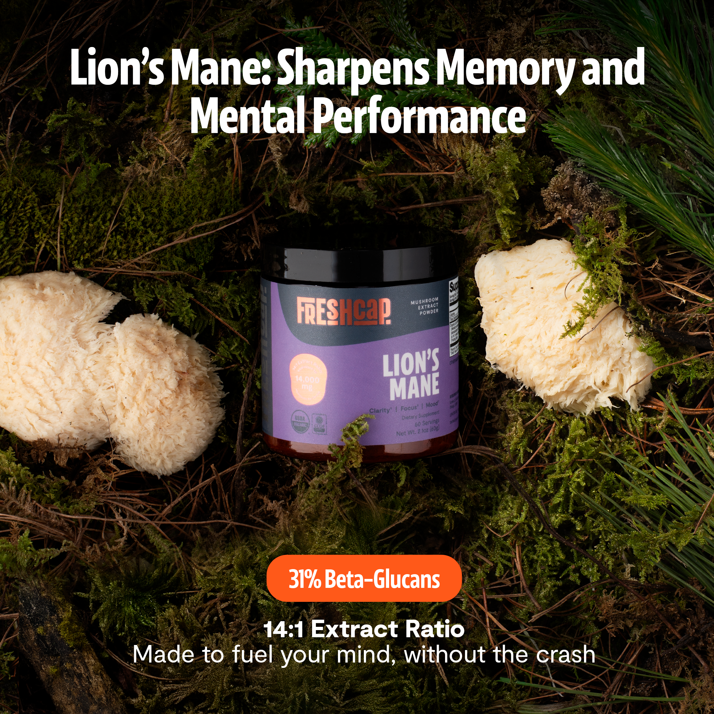 Ultimate Mushroom Complex Capsules